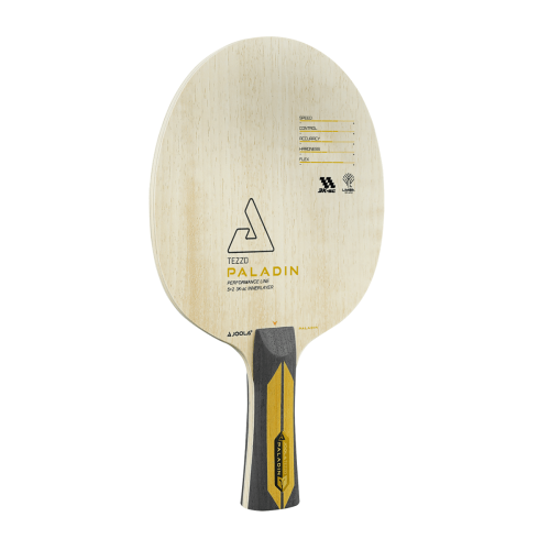 JOOLA PALADIN con fibra de carbon
